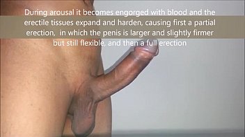 Complete penis erection process educational - YouTube
